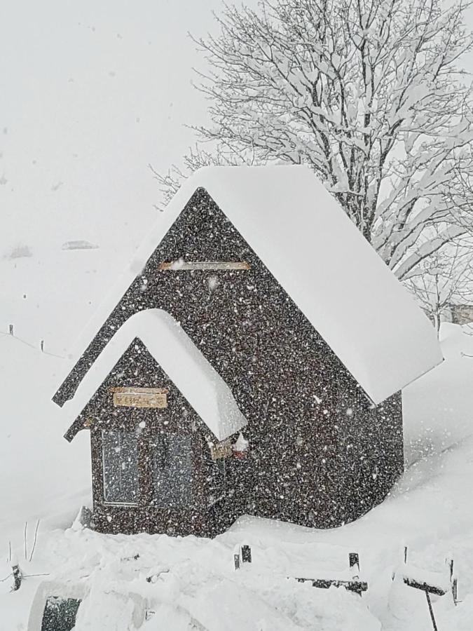 Koliba Cincila Villa Zabljak  Bagian luar foto